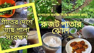 সিলেটের জনপ্রিয় রুজট পাতার ঝোলHow Do I Take Care Of My Outdoor Plants During Winter Months [upl. by Yrellav263]