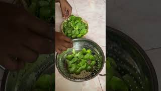 அழகான வல்லாரையில் சுவையான அம்மி துவையல் enathuaran vallaraikeerai villagecooking [upl. by Llerdnod345]