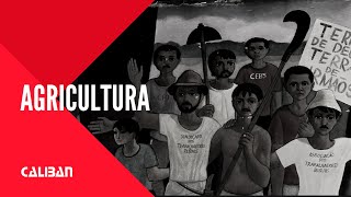 FILME  Agricultura Tamanho Família 2014 [upl. by Merrili]