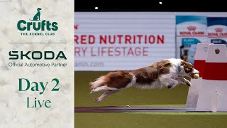 Day 2 LIVE  Crufts 2024 [upl. by Sidalg]