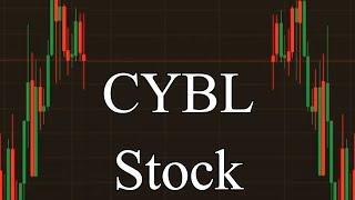 CYBL CVNA Stock Price Prediction News Today 4 December  Cyberlux and Carvana [upl. by Kenison162]