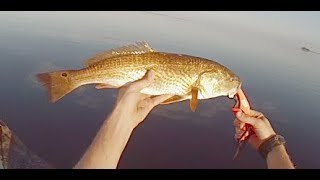 Inshore fishing for Redfish  Jon Boat Fishing [upl. by Byrann691]