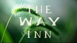 The Way Inn  Ayahuasca Retreat Center [upl. by Norvin]