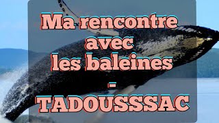 22 Tadoussac  Ma rencontre avec les baleines [upl. by Ylurt]