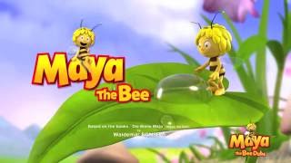 Bee movie best scene  Bee movie 2007  animation movie in hindi [upl. by Jara224]