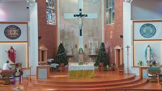 Catholic Mass on 9th January 2024  8 AM [upl. by Shien]