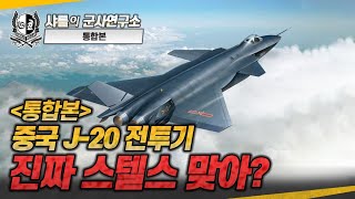 통합본 중국 J20 전투기 진짜 스텔스 맞아 중국J20샤를세환이세환 [upl. by Giverin]