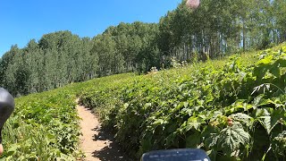 Steamboat Springs to Loveland Colorado Bike Gravel Ride  Day 1 [upl. by Osi]