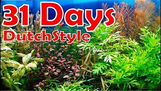 STEP BY STEP AQUASCAPING TUTORIAL  Aquascape DutchStyle [upl. by Jonette]