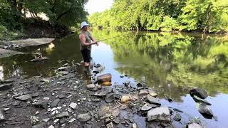 ALABAMA RIG amp Smallmouth Passaic River 80deg water Temp Aug 6 Tue 17’ water stained [upl. by Ettenahc]