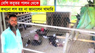 দেশি কবুতর পালন থেকে কখনো লস হয় না জানালেন এই খামারি  কবুতর পালন পদ্ধতি  Pigeon Farm In Bangladesh [upl. by Blair]