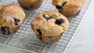 Quick and Easy Blueberry Muffin Recipe  How to Make The Best Homemade Blueberry Muffins [upl. by Siurad147]