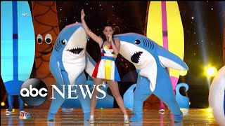 Super Bowl left shark breaks his silence [upl. by Goles]