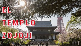 EL TEMPLO ZOJOJI ¡AL LADO DE LA TORRE DE TOKIO EN JAPÓN [upl. by Einaffets465]