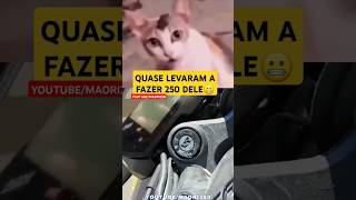 QUASE LEVARAM A FAZER 250 DELE😮 automobile canalmaori250 yamaha memes maorivlog motorcycle [upl. by Bill]