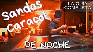 Sandos Caracol DE NOCHE Todo Incluído 🚨 Guia Completa 🚨 Playa del Carmen 🍹🏖 [upl. by Auguste]