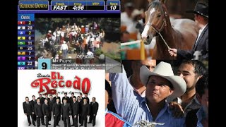 Los lujos del Z40 caballos y Banda El Recodo [upl. by Haimehen]