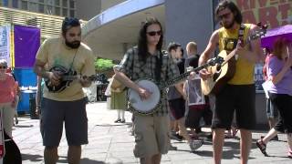 The Shelf Life String Band  Three Rivers Arts Festival  Clip 1 [upl. by Nawek]