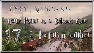 Harry Potter és a Bölcsek Köve hangoskönyv  17 fejezet [upl. by Toland360]