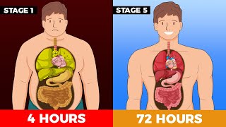 What happens to your body while Fasting  The 5 stages of Fasting [upl. by Musser]