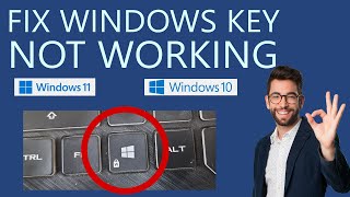 How to Fix Windows Key Not Working on Keyboard [upl. by Kosak]