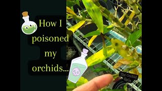 How I poisoned my Orchids [upl. by Adihaj]