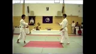 Aikido Yoshinkan Demonstration in Munich 1988  Payet Muguruza Nagano [upl. by Illil]