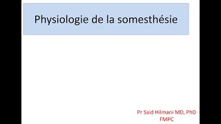 Neurophysiologie  Physiologie de la somesthesie FMPC [upl. by Narmak]