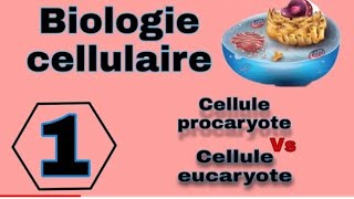 biologie cellulaire s1 svtu la cellule procaryote partie 3 شرح بالعربية والفرنسية [upl. by Jea]