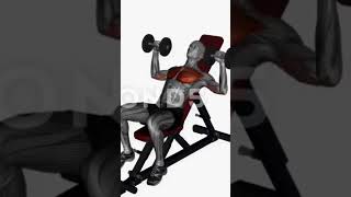 The Ultimate Chest Workout Guide Techniques amp Routines [upl. by Brannon764]