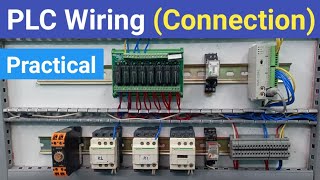 PLC Relay Board and Contactor Wiring Electrical Panel Wiring Delta DVP 12SA2 Connection [upl. by Dosi39]