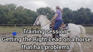 Training Session  Picking up the right lead at a Canter with a horse who has problems [upl. by Whitson]