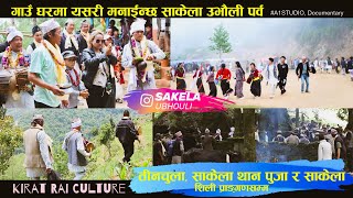 Sakela Ubhouli Festival  A Vibrant Celebration of Kirat Rai Culture  WOIRANG  BHOJPUR [upl. by Giusto]