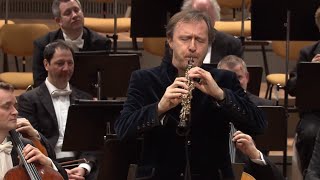 Albrecht Mayer – JS Bach Arioso from Cantata 156 Sinfonia [upl. by Demy]