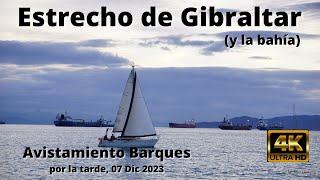 Avistamiento Barques Estrecho de Gibraltar 07 Dic 2023 [upl. by Alimhaj]