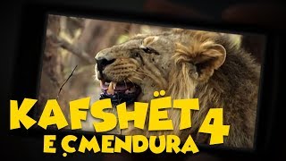 Kafshët e Çmendura  E4 [upl. by Whiffen]