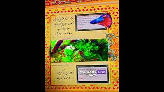 zoroaster poetry quotations wisdom advice aquarium calmness انگلیسی آموزش شعر ادبیات [upl. by Britteny]