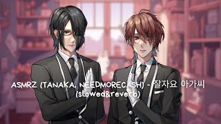 ASMRZ TANAKA x NEEDMORECASH  잘자요 아가씨 slowedampreverb [upl. by Rintoul61]