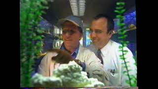 1996 GM Value Pricing quotFish rebatequot TV Commercial [upl. by Hanoy912]