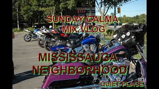 MISSISSAUGA NEIGHBORHOOD [upl. by Muscolo]