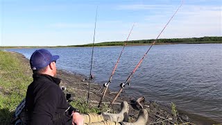 How to Catch MORE Catfish Bank Fishing [upl. by Langham985]