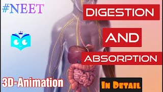 Digestion and Absorption part 1  Biology Endgame  class 11 NEET 2023 amp 2024  Study animated [upl. by Ivel101]