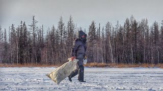 МЕШКАМИ ПРУТ РЫБУ СО ЛЬДА ЭТО БЕЗУМИЕ Первый лёд 2024 2025 [upl. by Raynah]