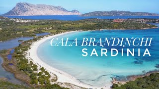 I Tropici della Sardegna Cala Brandinchi 4k [upl. by Haizek877]