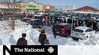 Massive lines for groceries after Newfoundland storm [upl. by Yeldud]