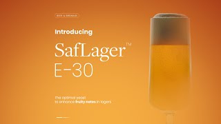 Now Launching  SafLager™ E‑30 [upl. by Ynes]