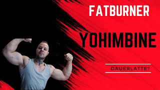 Yohimbine Fatburner und Dauerlatte [upl. by Yznel550]