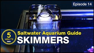 What is a Protein Skimmer How do I get the right one A beginner’s guide to aquarium filtration [upl. by Naujd]