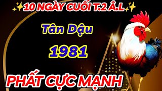 SỰ THẬT BẤT NGỜ 10 NGÀY CUỐI THÁNG 2 ÂM LỊCH  TÂN DẬU 1981 SỰ NGHIỆP HANH THÔNG  TIỀN VỀ CHẬT KÉT [upl. by Eittam840]