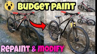 Budget Repaint  Hardtail Mountainbike [upl. by Asyar990]